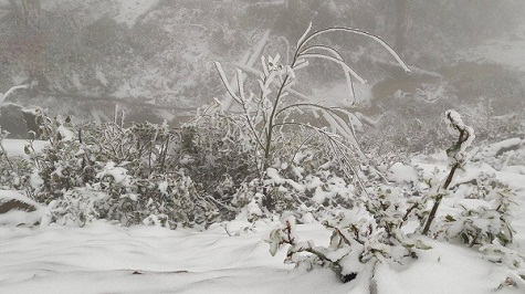 Băng tuyết trắng xóa phủ kín Kỳ Sơn (Nghệ An) là một hiện tượng xưa nay hiếm.